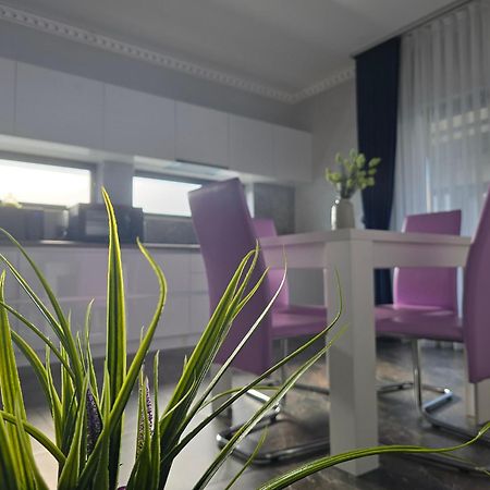 Villa Casa Anastasia à Oradea Extérieur photo