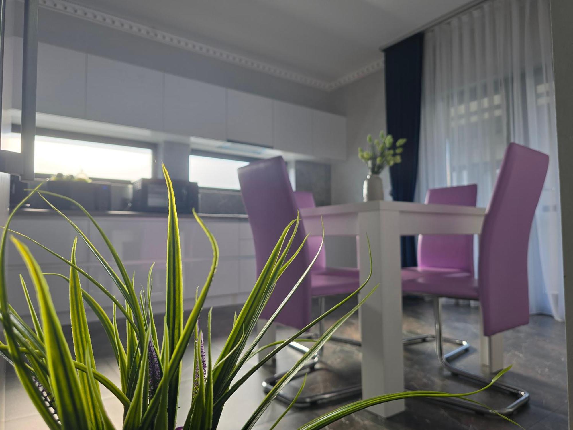 Villa Casa Anastasia à Oradea Extérieur photo